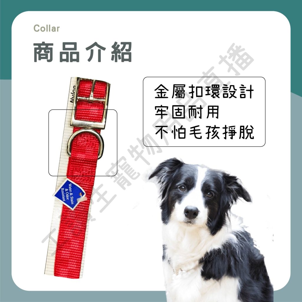 遇見毛寵 Collar 項圈 寵物項圈 62cm 大型犬 金屬扣環 尼龍材質 狗項圈 項圈 狗適用
