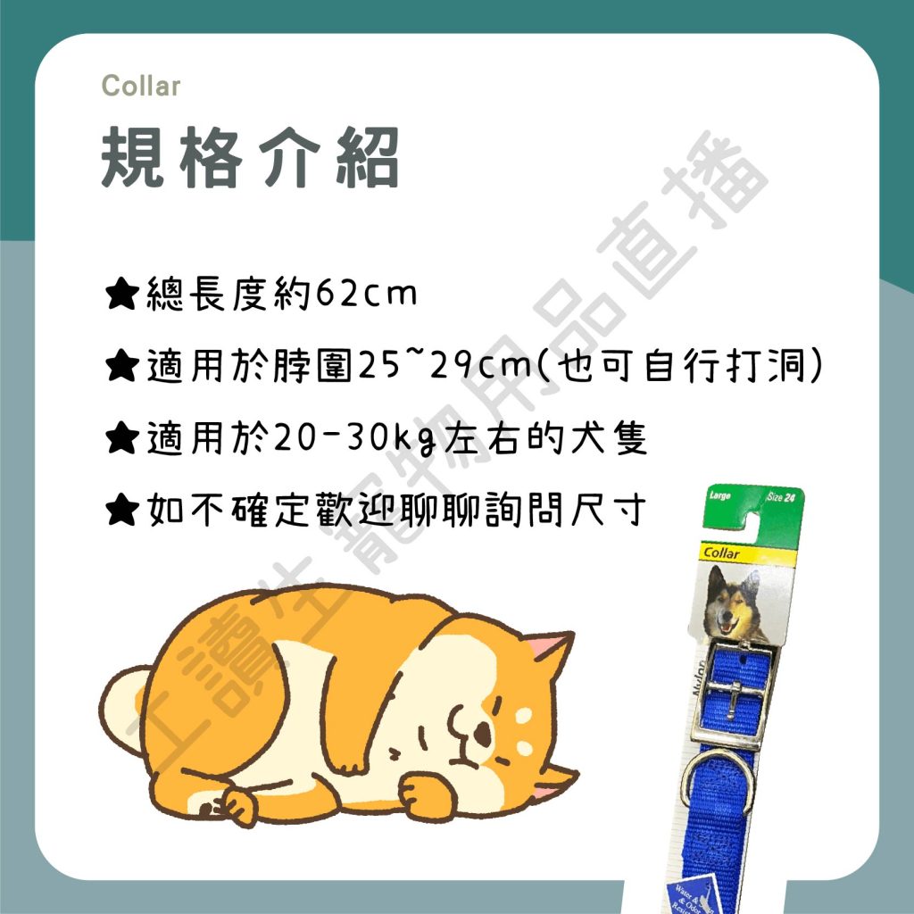 遇見毛寵 Collar 項圈 寵物項圈 62cm 大型犬 金屬扣環 尼龍材質 狗項圈 項圈 狗適用