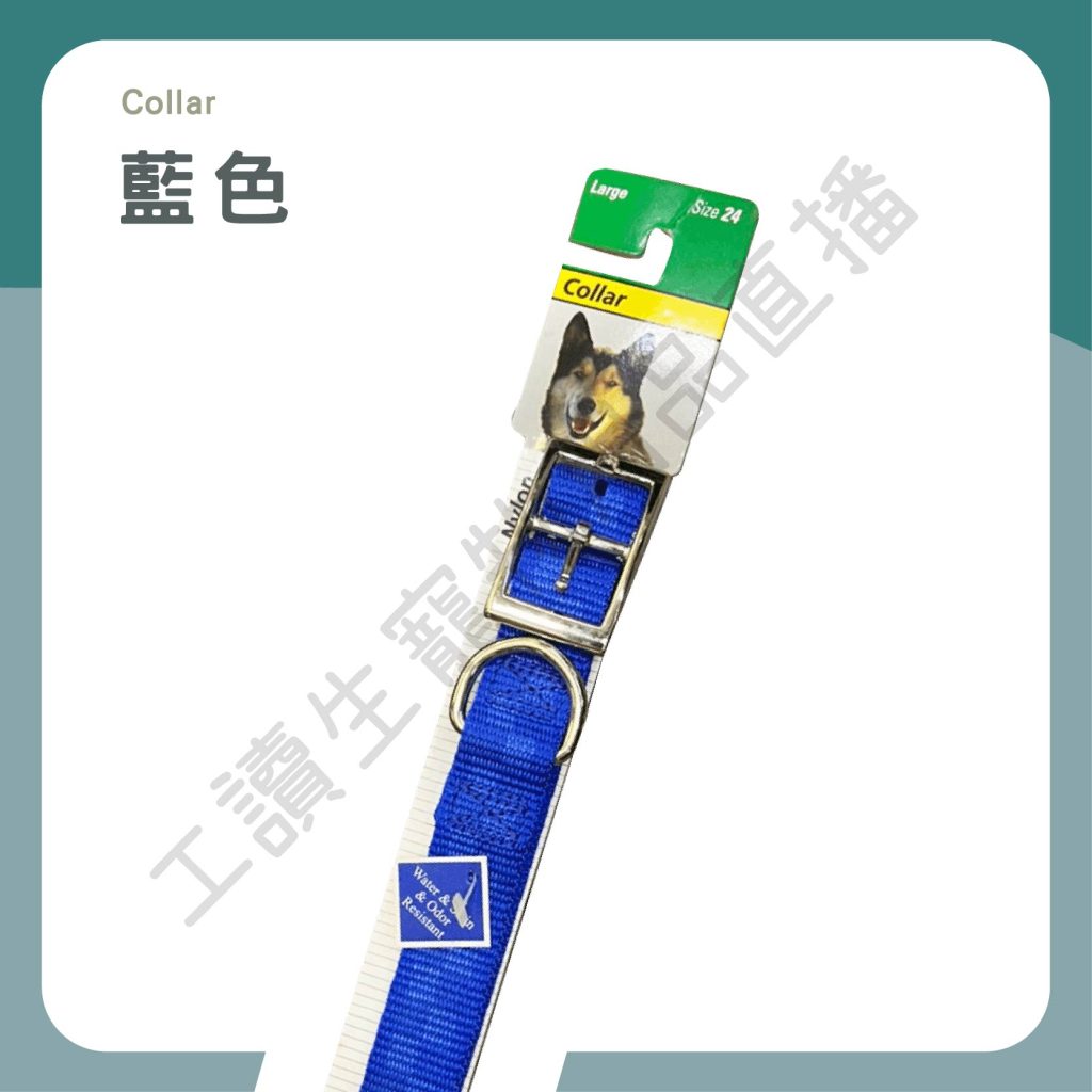 遇見毛寵 Collar 項圈 寵物項圈 62cm 大型犬 金屬扣環 尼龍材質 狗項圈 項圈 狗適用