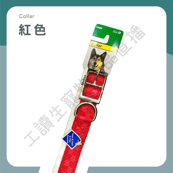 遇見毛寵 Collar 項圈 寵物項圈 62cm 大型犬 金屬扣環 尼龍材質 狗項圈 項圈 狗適用