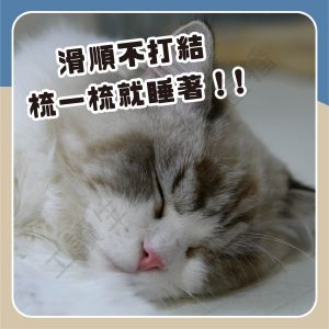 遇見毛寵 DoggyMan 犬貓用抗菌長柄順毛梳 S 順毛梳 亮麗毛髮 生活用品 理毛用具 貓狗適用