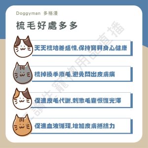 遇見毛寵 DoggyMan 犬貓用抗菌長柄順毛梳 S 順毛梳 亮麗毛髮 生活用品 理毛用具 貓狗適用