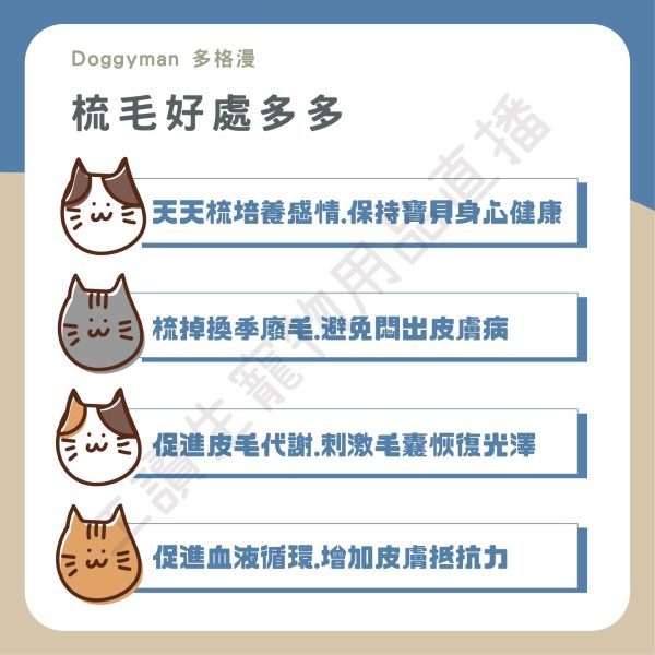 遇見毛寵 DoggyMan 犬貓用抗菌長柄順毛梳 S 順毛梳 亮麗毛髮 生活用品 理毛用具 貓狗適用