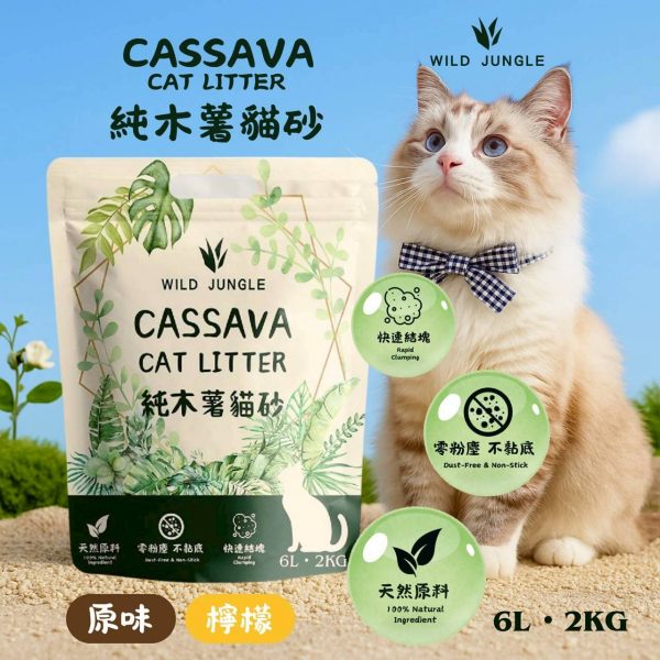 LINE_ALBUM_2025103_260228_2