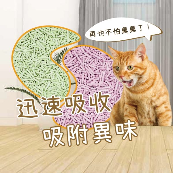 LINE_ALBUM_原始森林貓砂(2025321)_250328_6