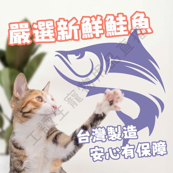 遇見毛寵 MJ貓飼料 挑嘴全齡貓 1.5kg 貓飼料 飼料 貓糧 全齡貓飼料 貓咪飼料 乾糧 貓咪乾糧 全齡貓 幼貓