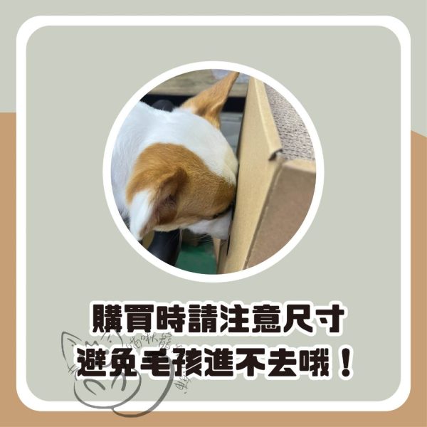 tw-11134207-7r98u-lppz92hw2a3idd