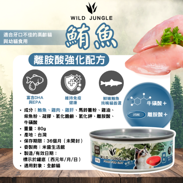 原始叢林 - 4 (3)