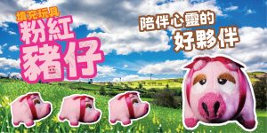 遇見毛寵 粉紅豬仔填充玩具 填充玩具 寵物玩具 貓玩具 狗玩具 玩偶 裝飾 擺設 玩具