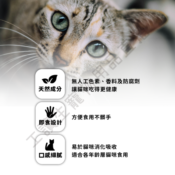 遇見毛寵 Love Joy Fun 愛樂芬 貓咪肉泥 鮭魚 鮭魚雞肉 蝦子雞肉 全齡貓 寵物 隨手包