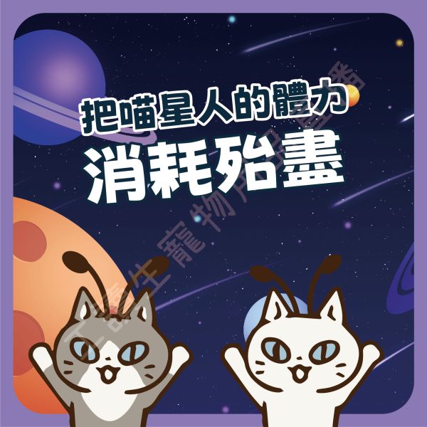 遇見毛寵 彈力星轉盤玩具 貓玩具 貓咪玩具 三層轉盤 四層轉盤 貓轉盤 軌道球 遊樂盤 貓咪轉盤玩具 貓咪遊戲盤