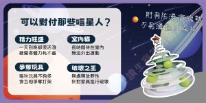 遇見毛寵 彈力星轉盤玩具 貓玩具 貓咪玩具 三層轉盤 四層轉盤 貓轉盤 軌道球 遊樂盤 貓咪轉盤玩具 貓咪遊戲盤