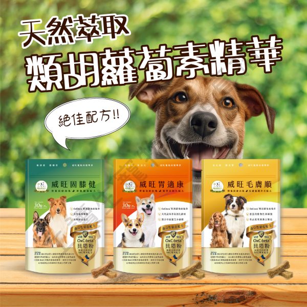 遇見毛寵 WeWant威旺 營養保健肉塊 關節 毛皮照顧 腸胃保固 營養零食 寵物 狗狗零食 肉塊