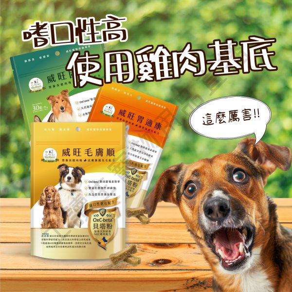 遇見毛寵 WeWant威旺 營養保健肉塊 關節 毛皮照顧 腸胃保固 營養零食 寵物 狗狗零食 肉塊