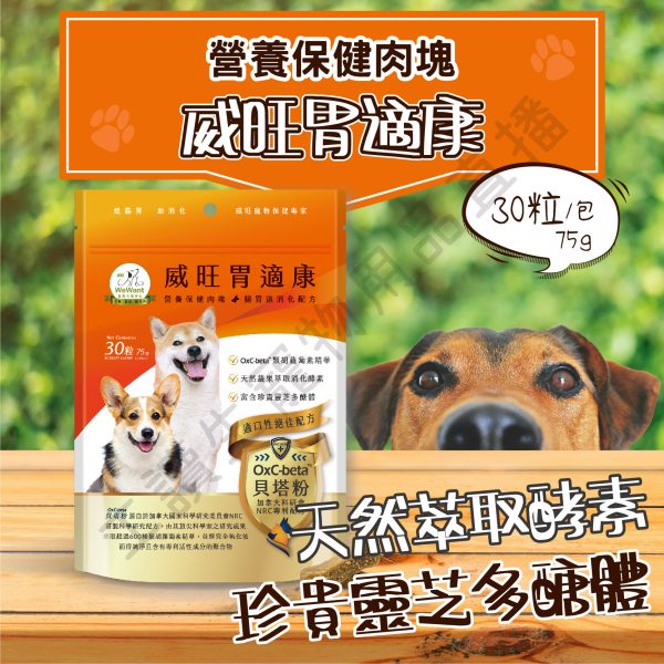 遇見毛寵 WeWant威旺 營養保健肉塊 關節 毛皮照顧 腸胃保固 營養零食 寵物 狗狗零食 肉塊