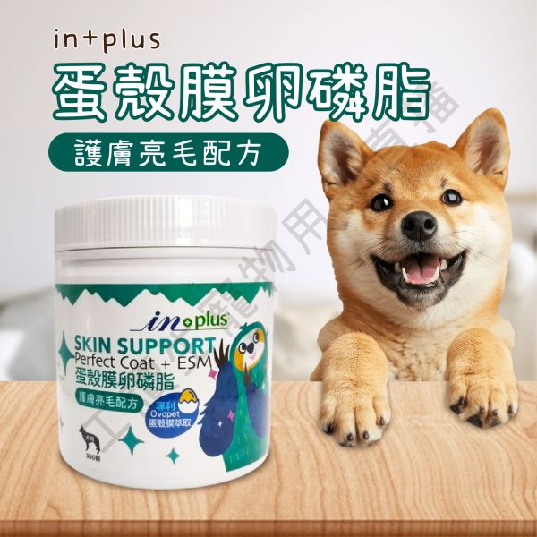 遇見毛寵 IN+PLUS 蛋殼膜卵磷脂-護膚亮毛配方 300顆 寵物 犬用 顆粒狀 點心 亮毛