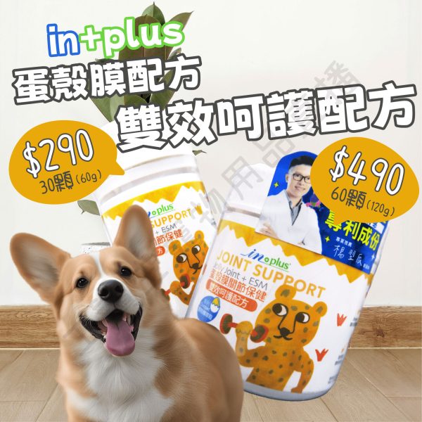 遇見毛寵 IN+PLUS 蛋殼膜關節保養-雙效呵護配方 狗保健 營養保健 關節保健 皮毛保健 寵物保健 保健品 寵物營養 營養品