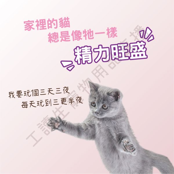 遇見毛寵 貓咪遊樂盤 貓咪玩具 貓咪軌道球 貓轉盤 貓咪玩具球 貓咪遊樂盤 貓咪旋轉 逗貓玩具