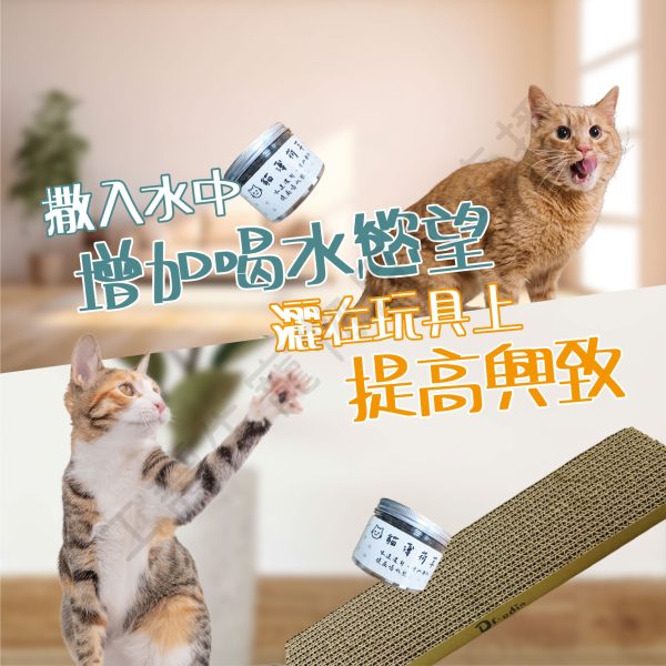 遇見毛寵 貓薄荷草 20G 貓咪薄荷 放鬆心情 促進排毛