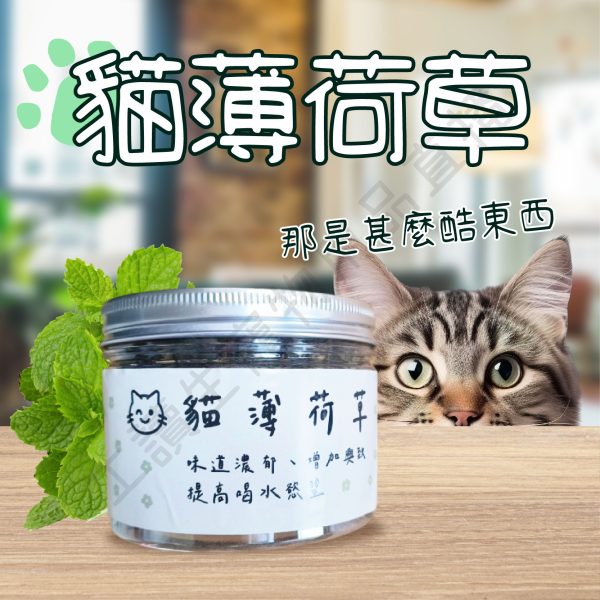 遇見毛寵 貓薄荷草 20G 貓咪薄荷 放鬆心情 促進排毛