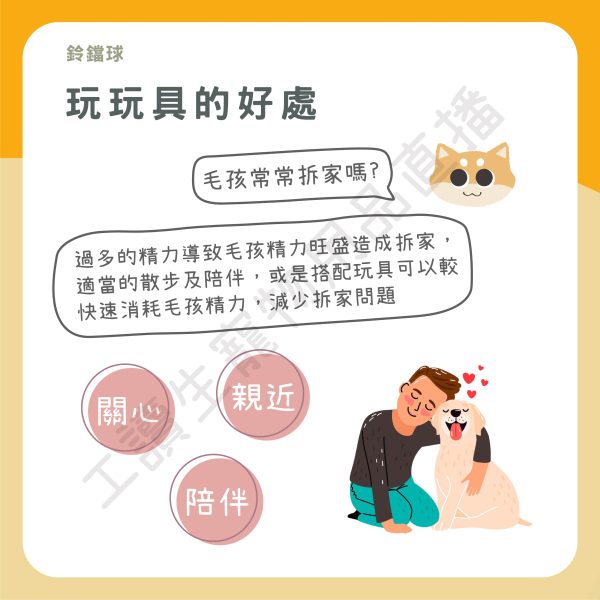 遇見毛寵 鈴鐺球 金屬球 太空球 鈴鐺 寵物玩具 貓鈴鐺 玩具 貓狗適用